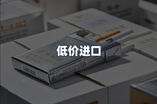低价进口